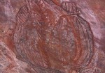 Rock paintings, NP Kakadu