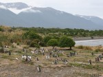 Bigla channel. Tierra del Fuego