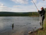 Fishing on the riverbank. Grayling (Thymallus)