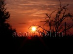 Sunset in Astrakhansky Reserve