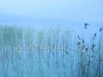 Fog On The Plesheevo Lake