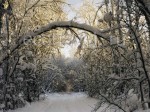 Russian Winter in Poozerye